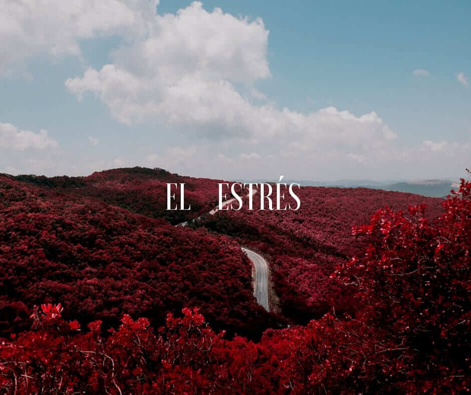 El-estrés
